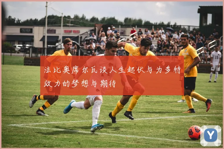 法比奥席尔瓦谈人生起伏与为多特效力的梦想与期待
